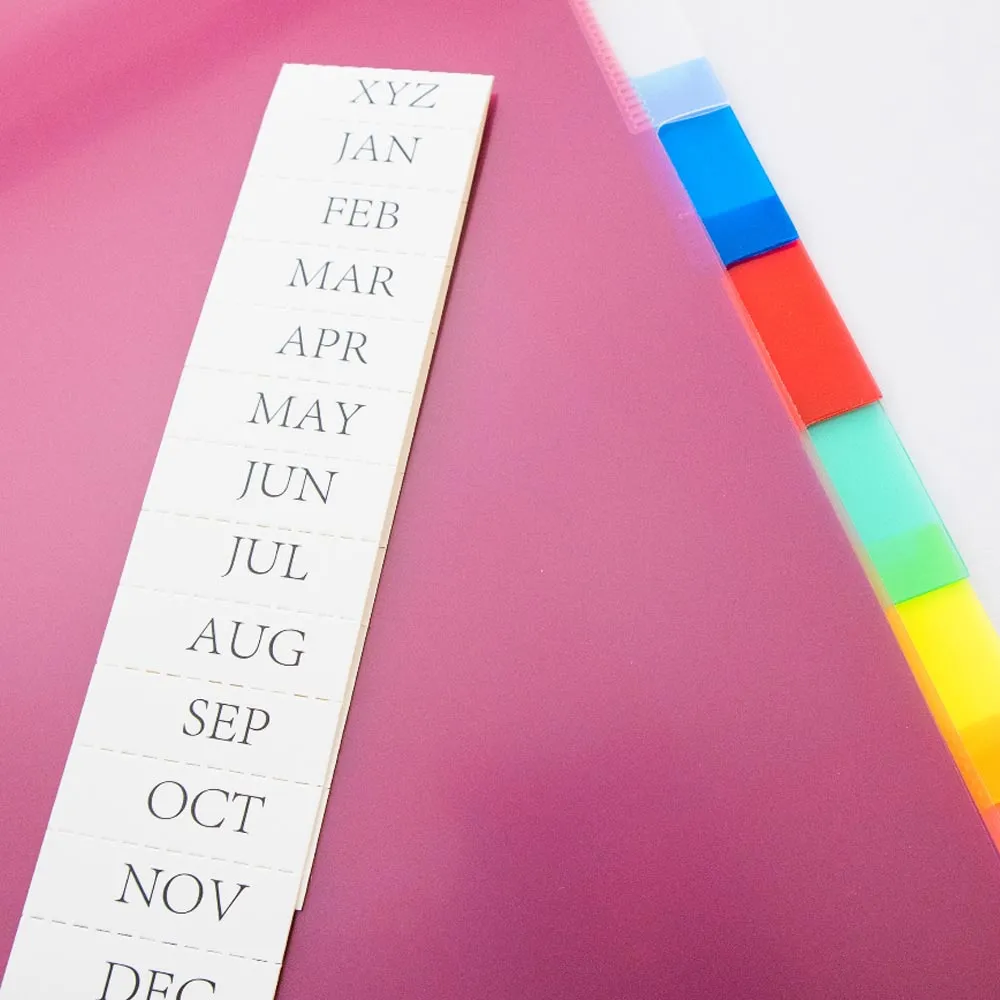 1 Set Tabs Dividers 3 Rings Binders 8 Multicolor Customizable Table Contents